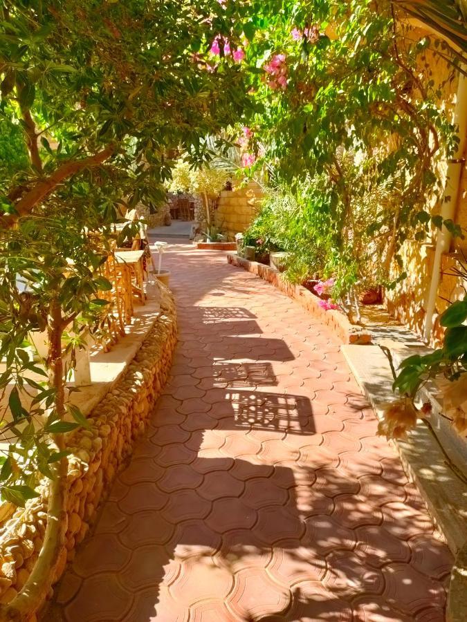 Dream Lodge Siwa Siwa Oasis Exterior photo