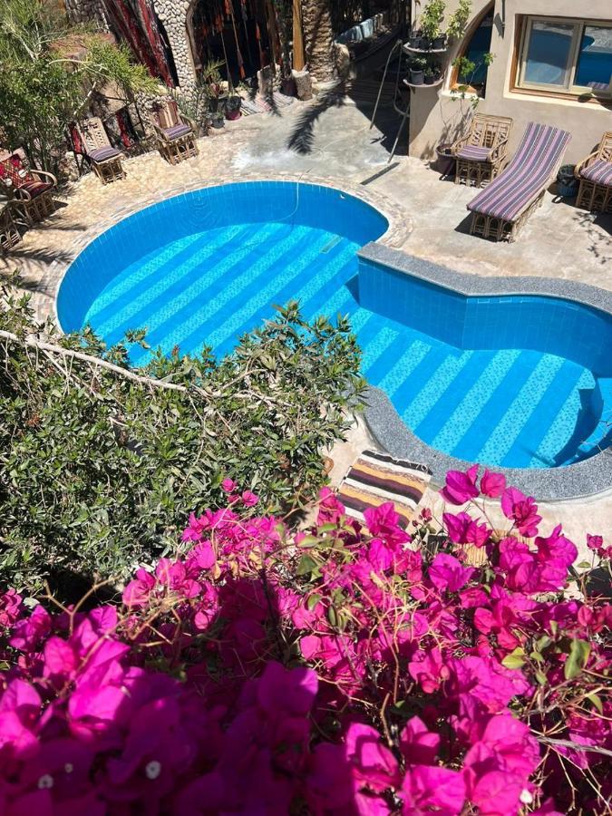 Dream Lodge Siwa Siwa Oasis Exterior photo